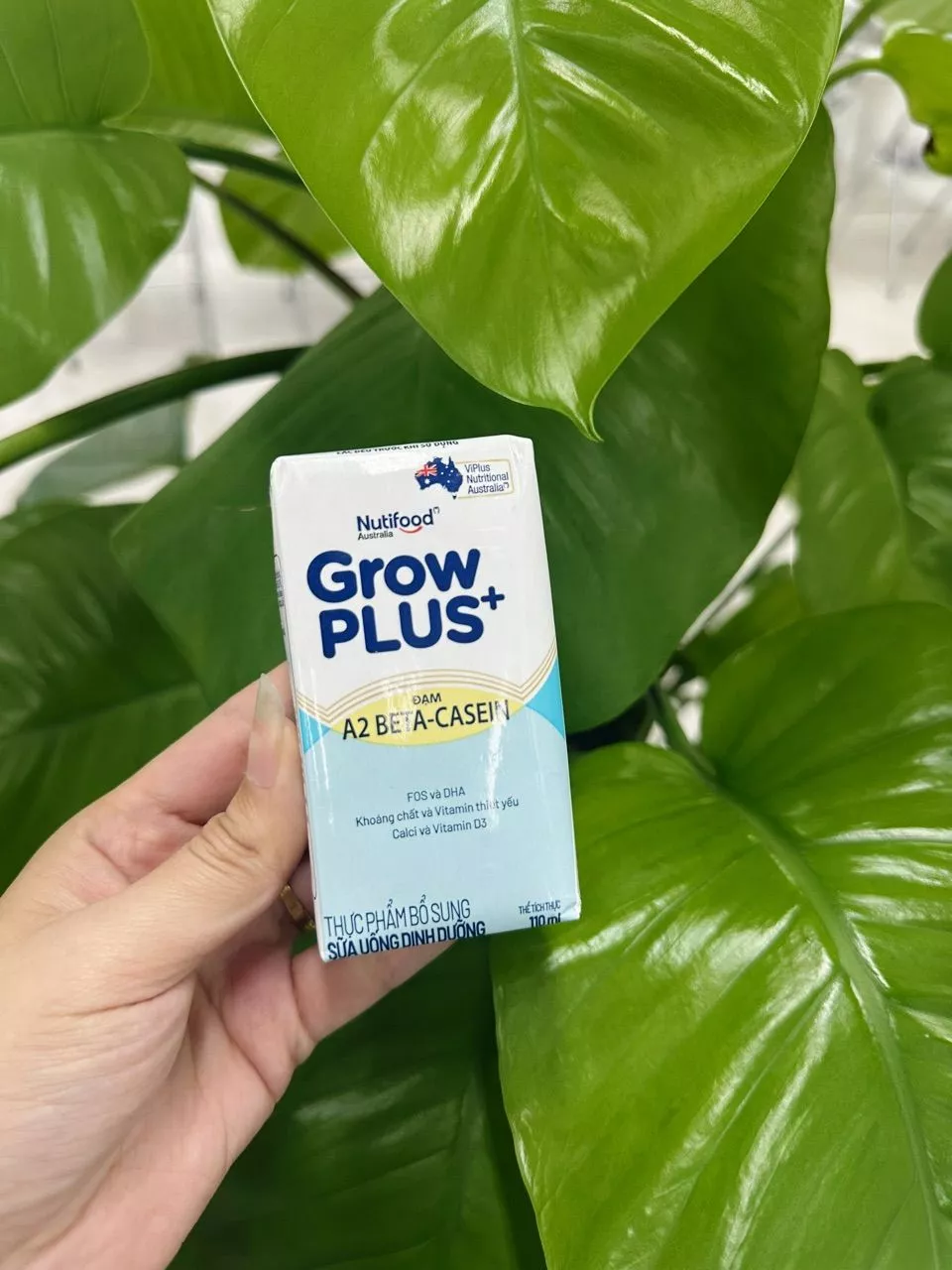 sữa growplus+ a2 beta-casein